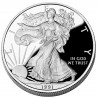 1 oz silver U.S. Silver EAGLE 1991 BU $1