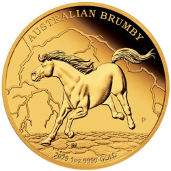 +++ Perth Mint Australian Brumby 2024 1oz Gold Proof Coin $100 +++