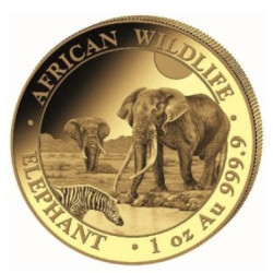 GOLD 1 oz ELEPHANT 2026 SOMALIA 1 000 shillings